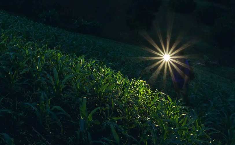 Farm & Ranch Lights