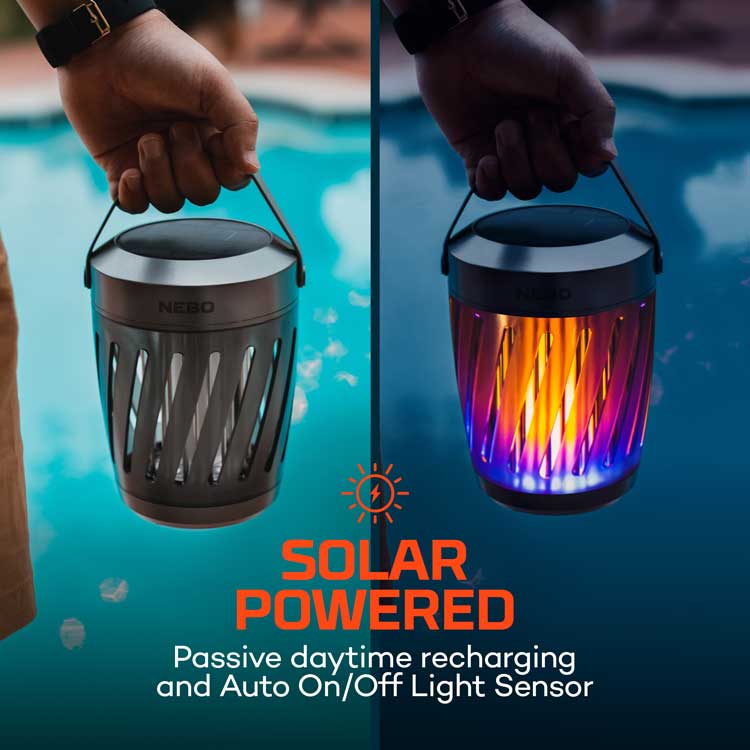 Tabletop mosquito zapper on sale