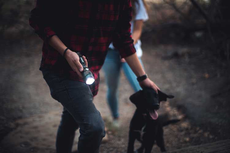 Check Out Our Top 5 Lighting Picks for Walking your Dog
